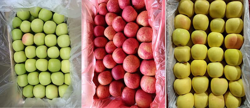 images/1662447959147clasificador de manzana.jpg